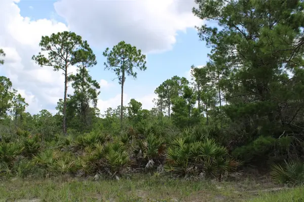 1830 Oleaster Avenue, SEBRING, FL 33875