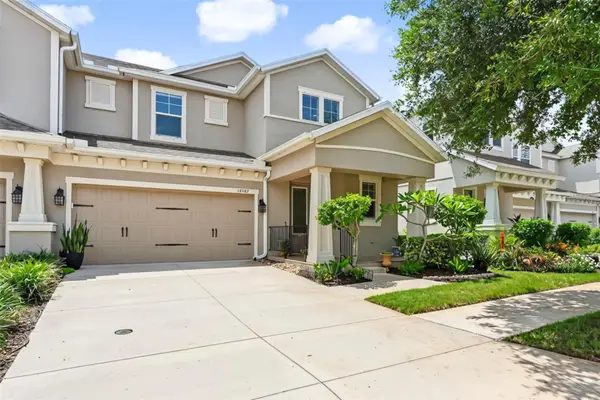 14507 Rocky Brook Drive, TAMPA, FL 33625
