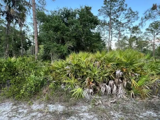 13352 Rodin Drive, Punta Gorda, FL 33955 - #1