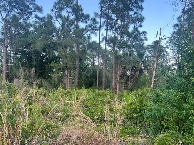 13352 Rodin Drive, Punta Gorda, FL 33955 - #3