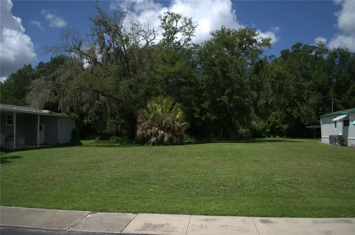 Muller Drive, Zephyrhills, FL 33540 - #1
