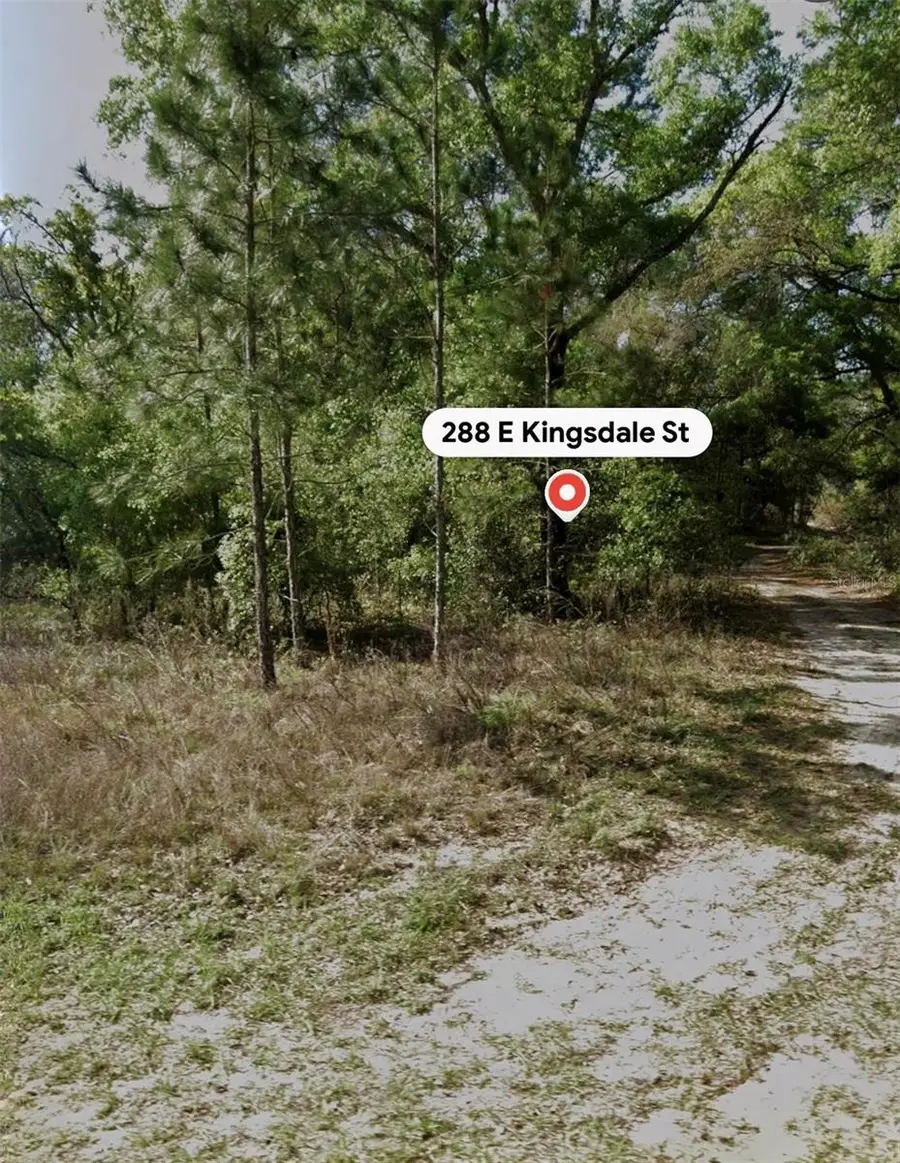 288 E Kingsdale Street, Citrus Springs, FL 34434 - #3