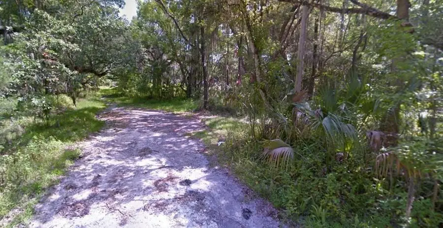 00 S Bailey Avenue, Brooksville, FL 34601 - #3