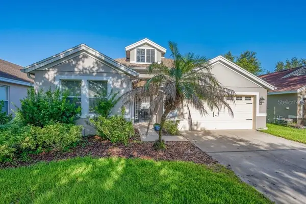 6105 Gannetside Place, LITHIA, FL 33547