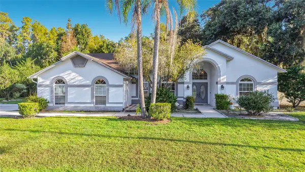 25035 Acorn Drive, LAND O LAKES, FL 34639