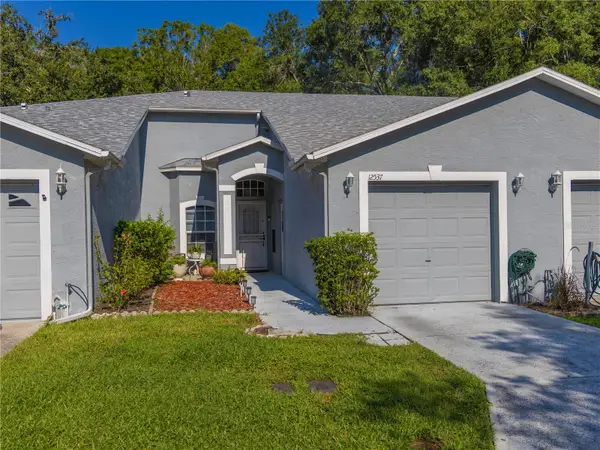 12537 Hollybrook Lane, HUDSON, FL 34669