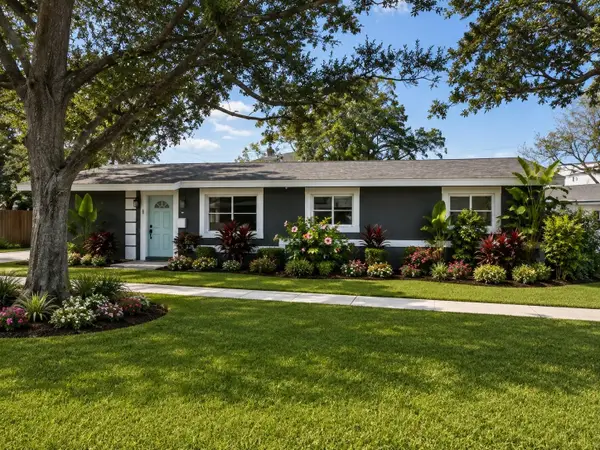 401 Patica Road Ne, ST PETERSBURG, FL 33702