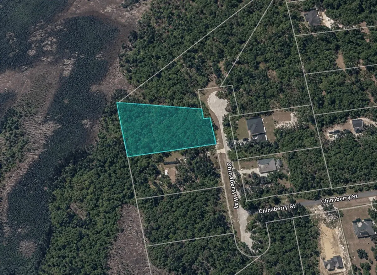 Chinaberry Way, Eustis, FL 32736 - #1