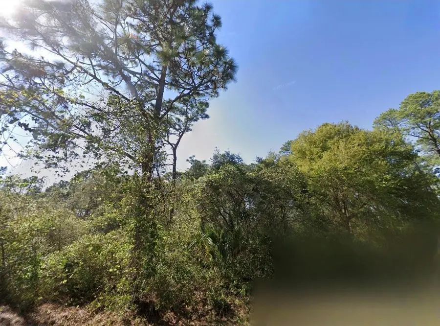 Chinaberry Way, Eustis, FL 32736 - #3