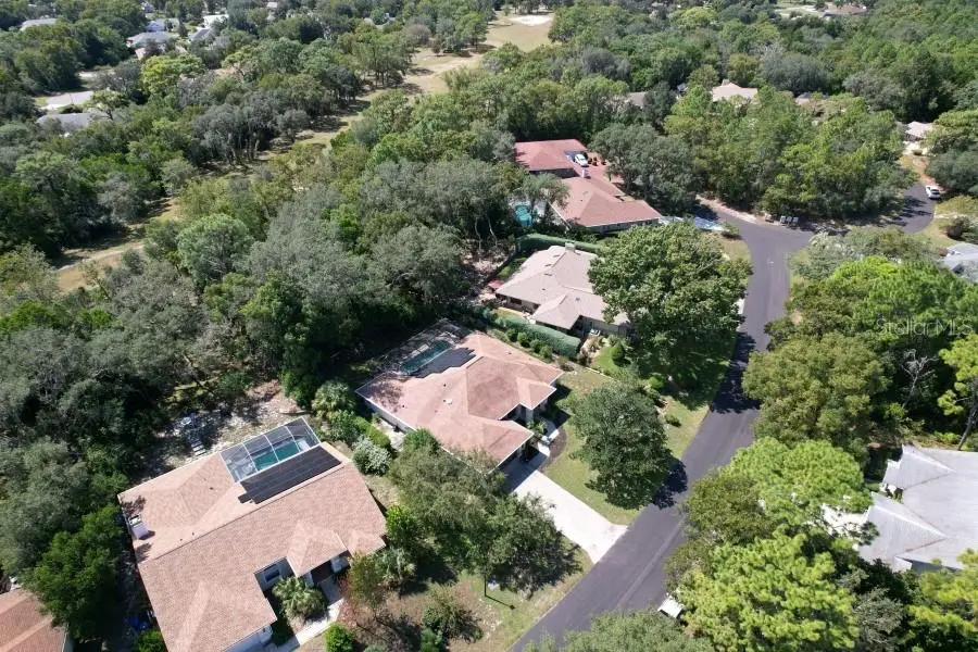 4 Balsam Court W, Homosassa, FL 34446 - #3