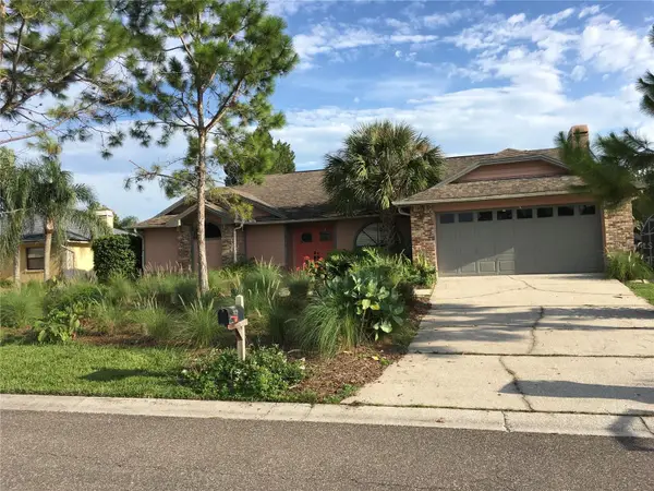 1703 Paddock Drive, PLANT CITY, FL 33566