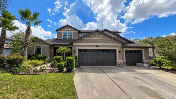 10619 Mistflower Lane, TAMPA, FL 33647