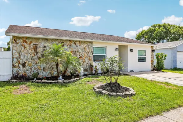 1009 Coolwood Place, BRANDON, FL 33511