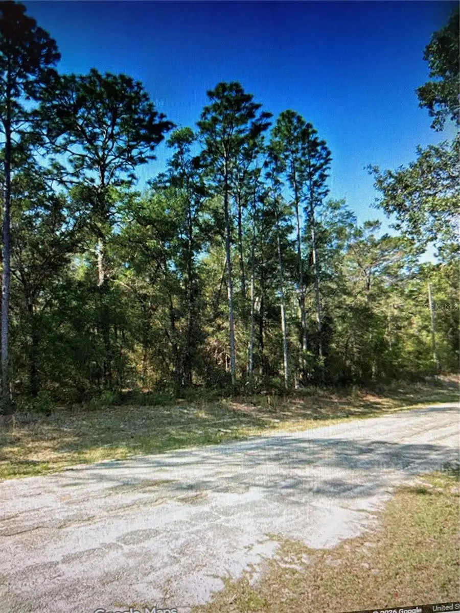 564 E Panama Drive, Citrus Springs, FL 34434 - #3