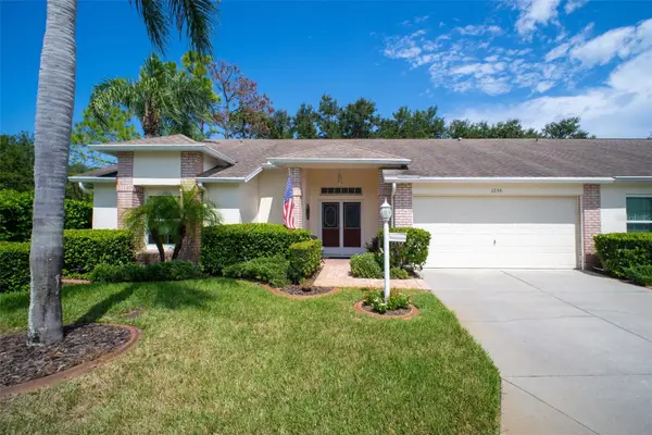 1236 Flora Vista Street, TRINITY, FL 34655
