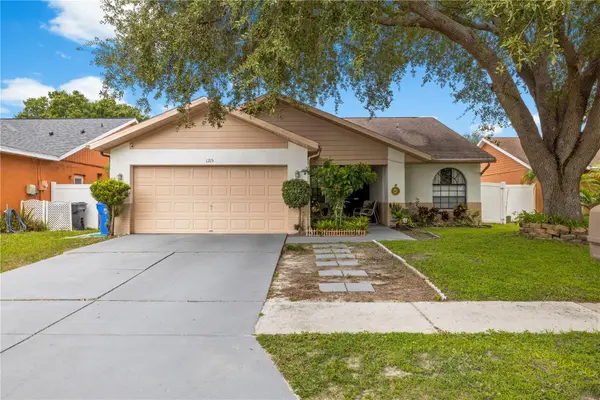 1215 Rinkfield Place, BRANDON, FL 33511