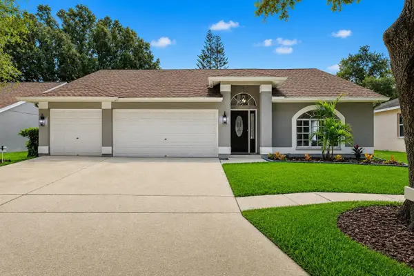 17721 Hampshire Oak Drive, TAMPA, FL 33647