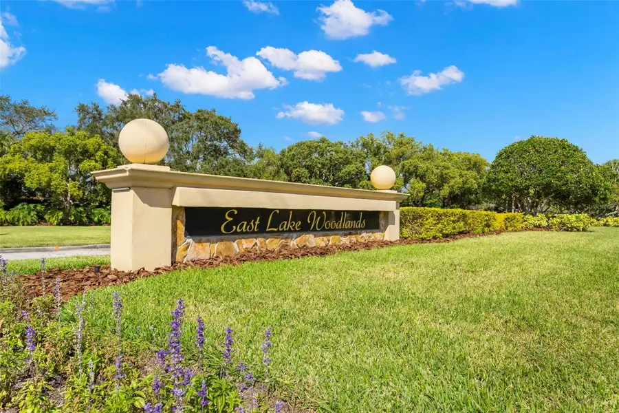 180 Tads Trail, Oldsmar, FL 34677 - #3