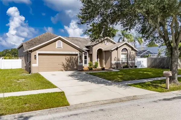 10303 Tarragon Drive, RIVERVIEW, FL 33569