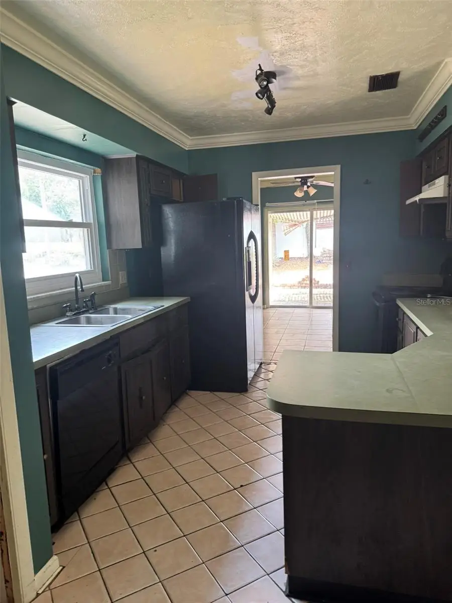 10916 N 19th Street, Tampa, FL 33612 - #3