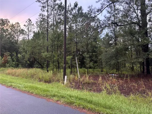 Blk 1122 Lot 13, OCALA, FL 34472