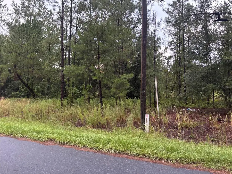 Blk 1122 Lot 13, Ocala, FL 34472 - #3