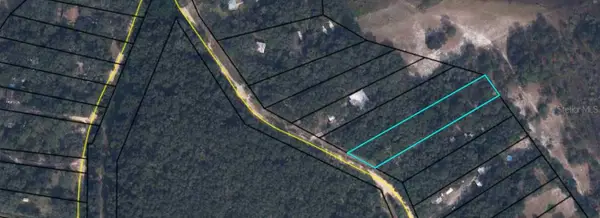 7033 Gatorbone Road, KEYSTONE HEIGHTS, FL 32656