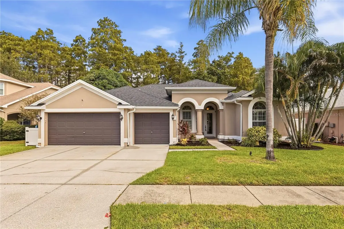 439 Denise Street, Tarpon Springs, FL 34689 - #1