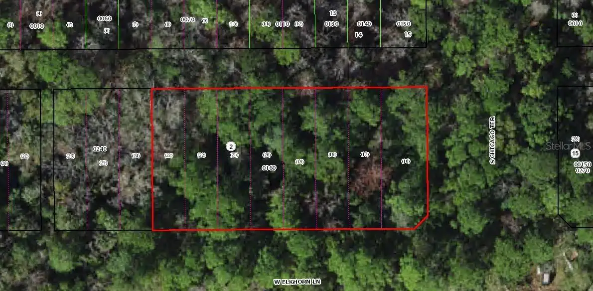 8733 W Elkhorn Drive, Homosassa, FL 34448 - #1