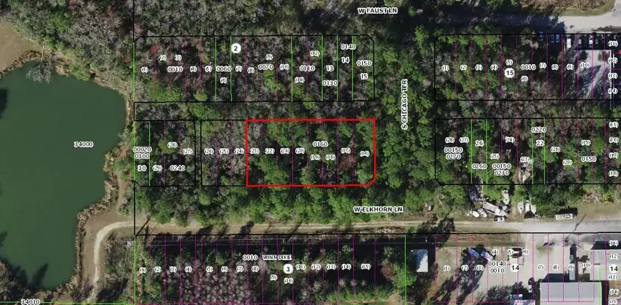 8733 W Elkhorn Drive, Homosassa, FL 34448 - #2