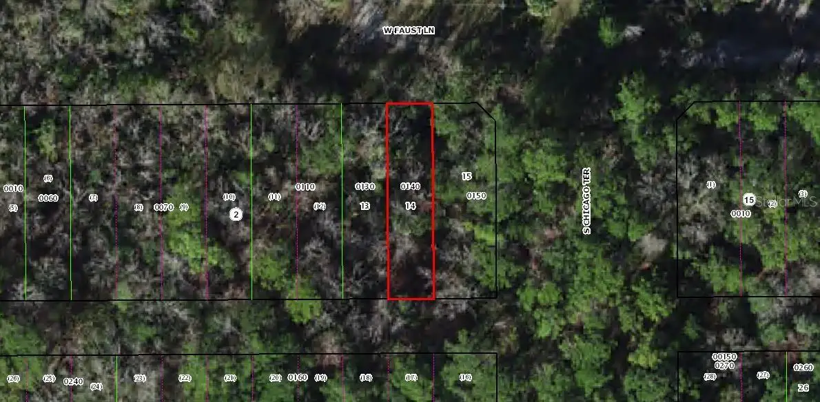 8714 W Faust Lane, Homosassa, FL 34448 - #1