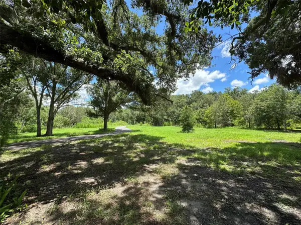 1676 Hermosa Drive, PALM HARBOR, FL 34683