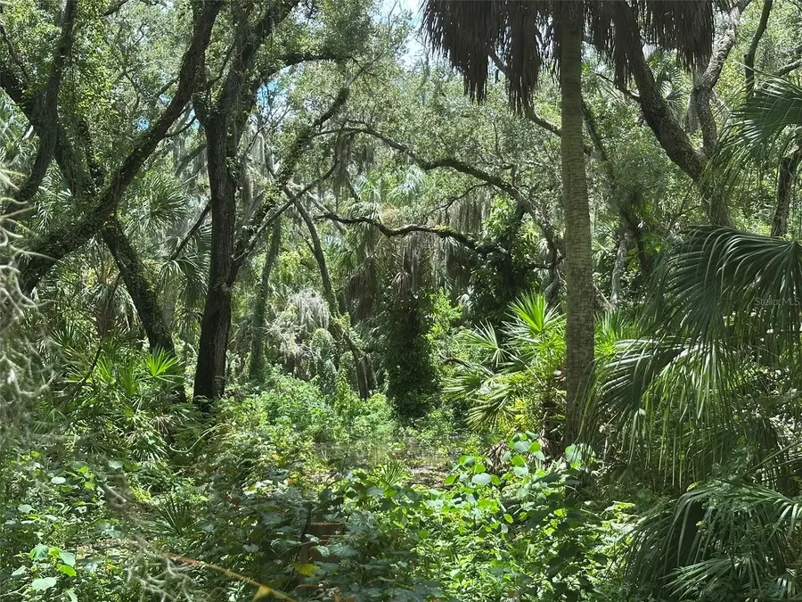 1676 Hermosa Drive, Palm Harbor, FL 34683 - #2