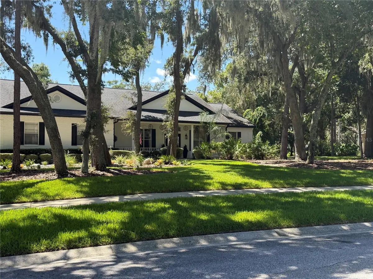 5806 Audubon Manor Boulevard, Lithia, FL 33547 - #1