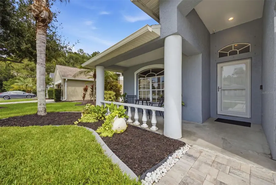 416 Cypress View Drive, Oldsmar, FL 34677 - #2
