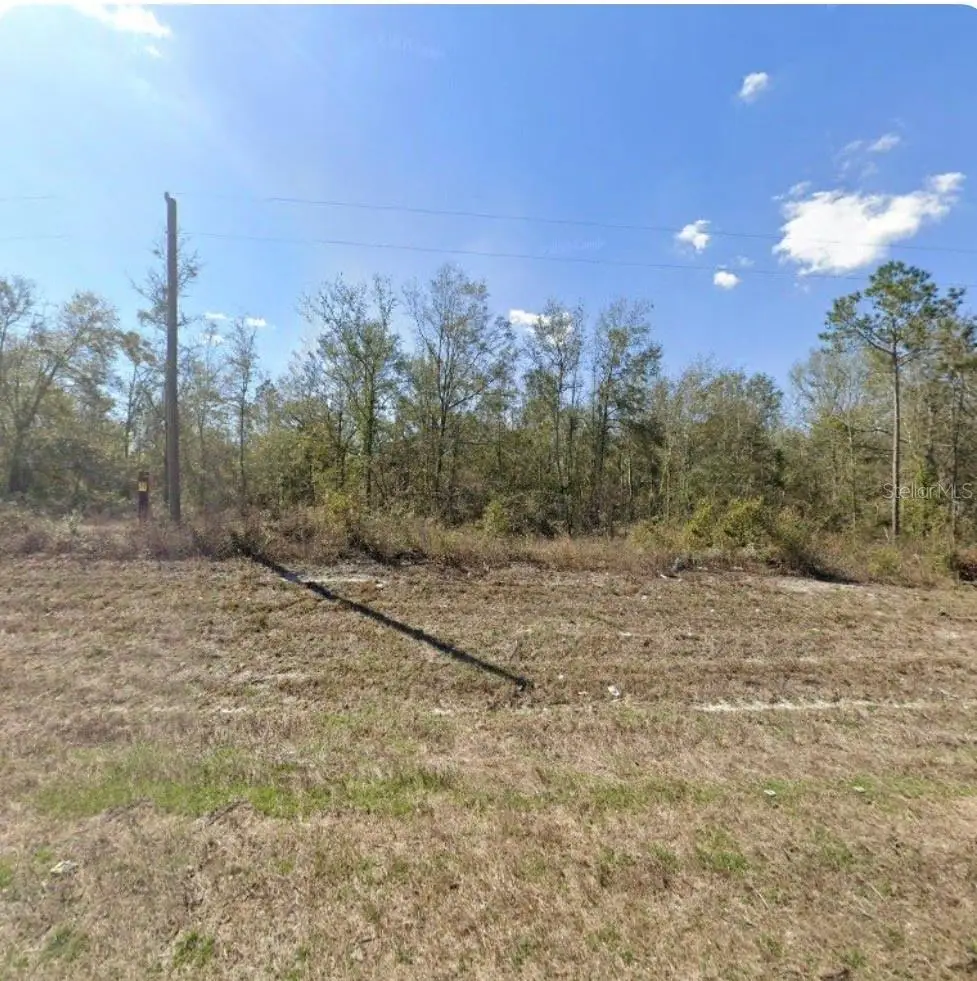 0 County Road 49, Suwannee, FL 32071 - #1