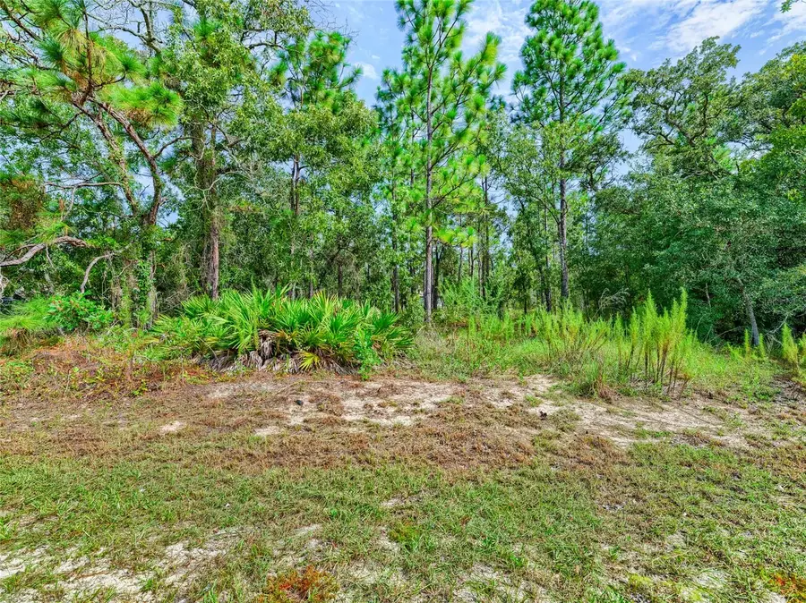 13233 English Fir Court, Weeki Wachee, FL 34614 - #3