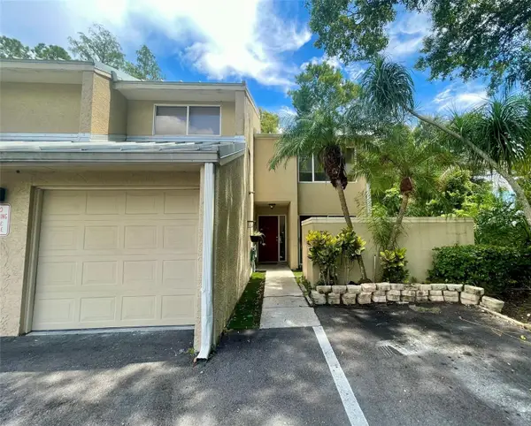 13001 Arborview Place, TAMPA, FL 33618