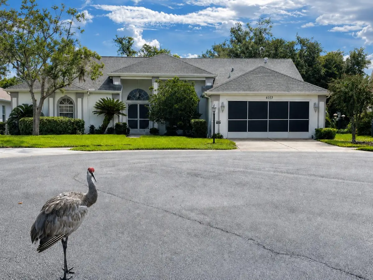 6513 Cardinal Crest Drive, New Port Richey, FL 34655 - #1