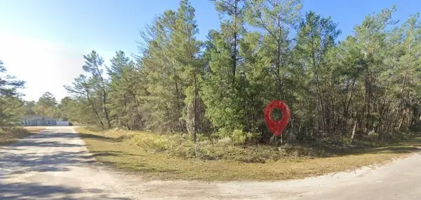 Fisher Run Terrace, OCKLAWAHA, FL 32179