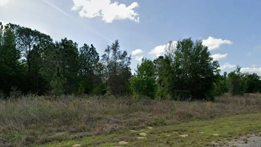 8085 N Salerno Way, Citrus Springs, FL 34434 - #2