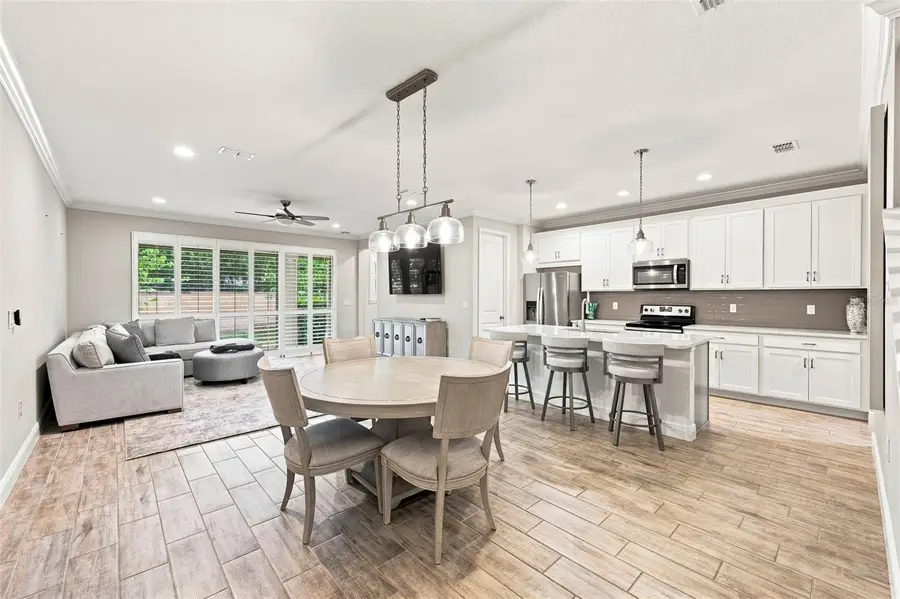 1103 Mango Court, Oldsmar, FL 34677 - #3
