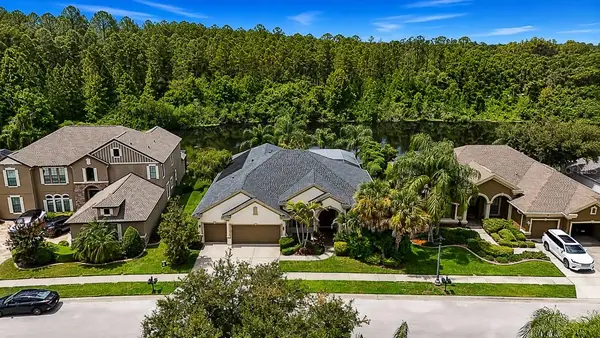 1637 Abyss Drive, ODESSA, FL 33556