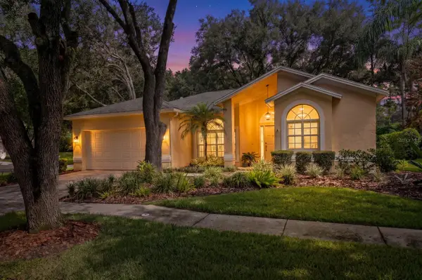 9302 Knightsbridge Court, TAMPA, FL 33647