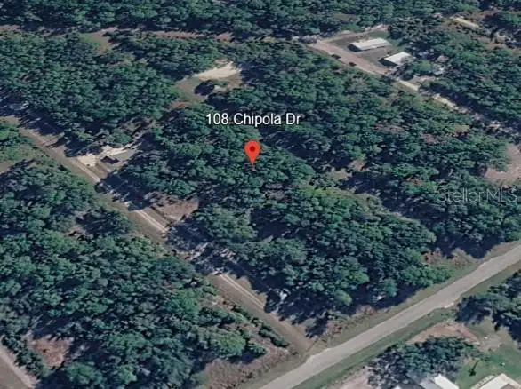 108 Chipola Drive, Georgetown, FL 32139 - #1
