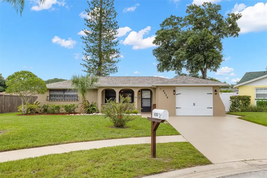 4236 Abaco Court, New Port Richey, FL 34653 - #2