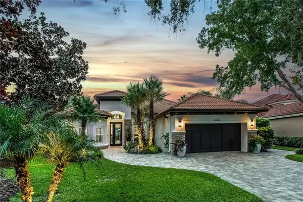 14732 San Marsala Court, TAMPA, FL 33626