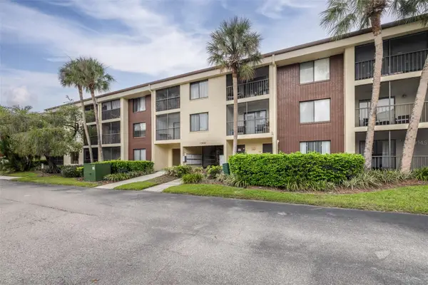 13602 S Village Drive #1107, TAMPA, FL 33618
