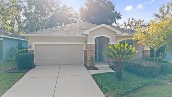 15842 Starling Water Drive, LITHIA, FL 33547