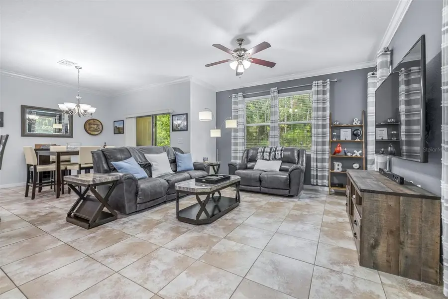 20316 Starfinder Way, Tampa, FL 33647 - #3